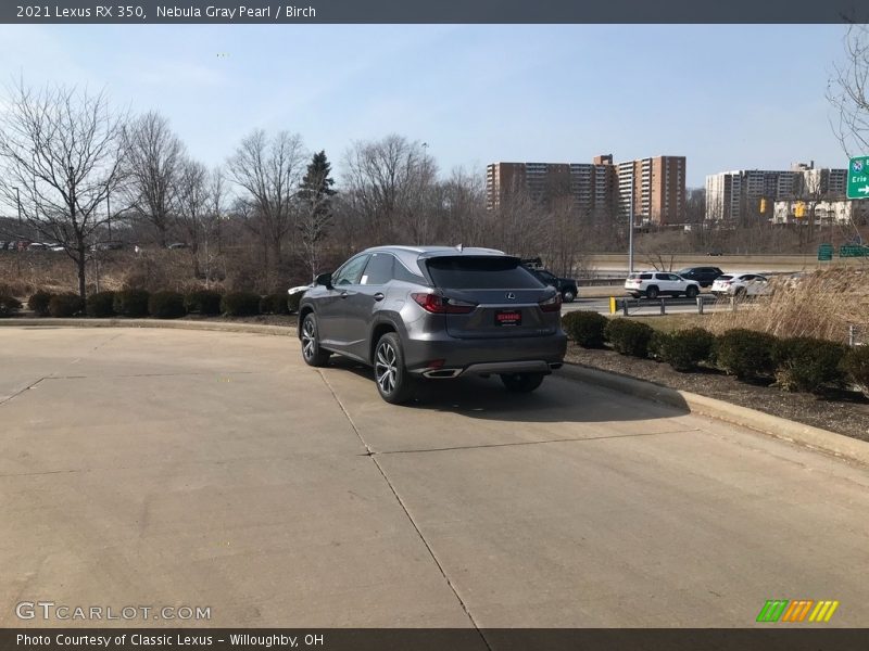 Nebula Gray Pearl / Birch 2021 Lexus RX 350