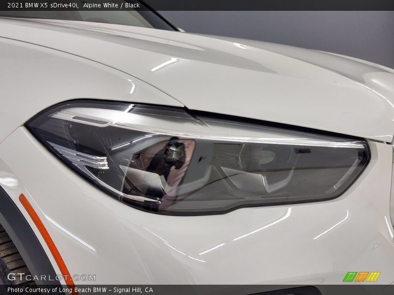 Alpine White / Black 2021 BMW X5 sDrive40i