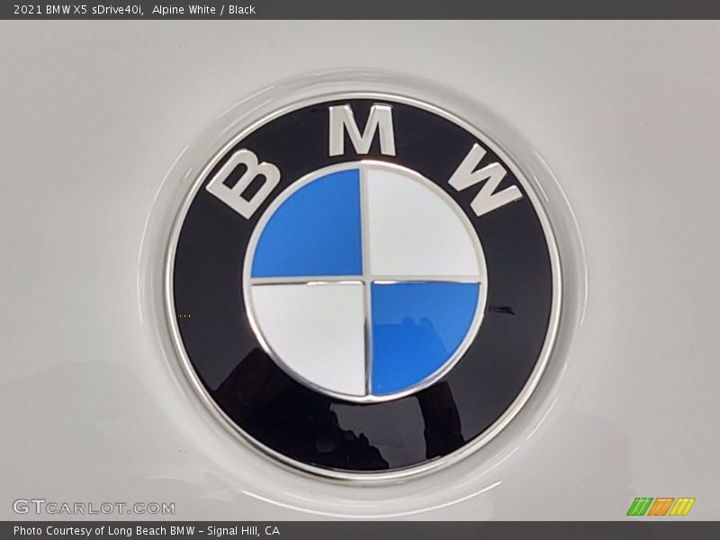 Alpine White / Black 2021 BMW X5 sDrive40i
