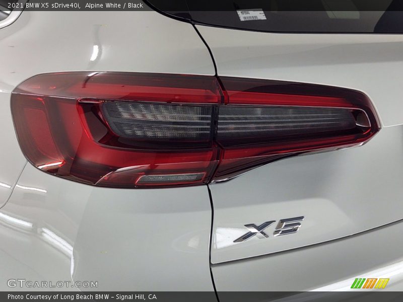 Alpine White / Black 2021 BMW X5 sDrive40i