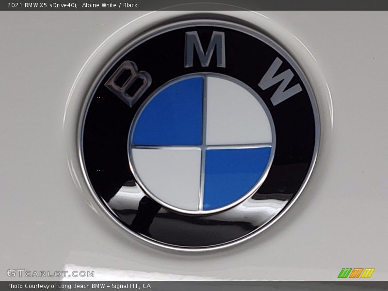 Alpine White / Black 2021 BMW X5 sDrive40i