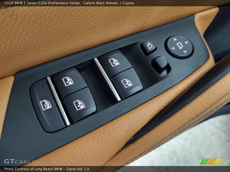 Door Panel of 2018 5 Series 530e iPerfomance Sedan