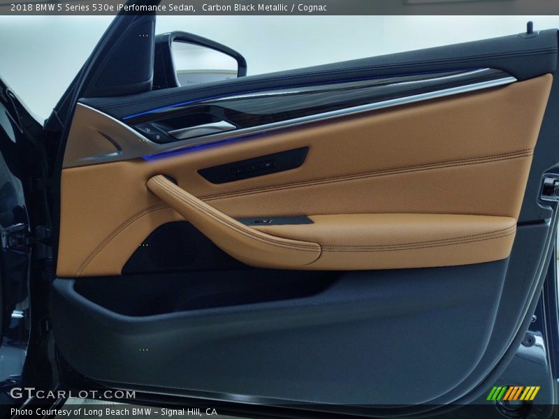 Door Panel of 2018 5 Series 530e iPerfomance Sedan