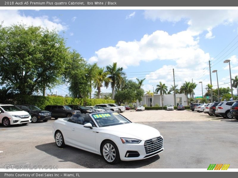  2018 A5 Premium Plus quattro Cabriolet Ibis White
