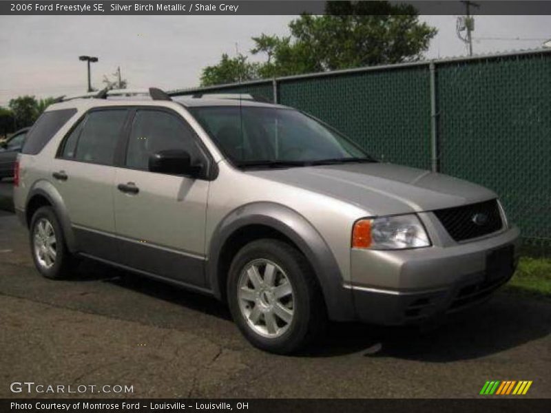 Silver Birch Metallic / Shale Grey 2006 Ford Freestyle SE