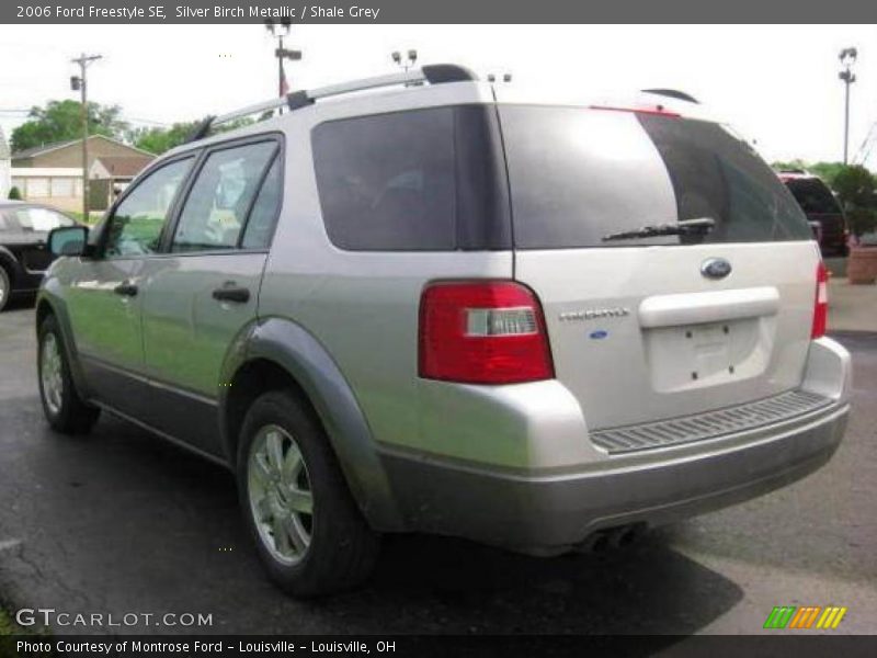 Silver Birch Metallic / Shale Grey 2006 Ford Freestyle SE