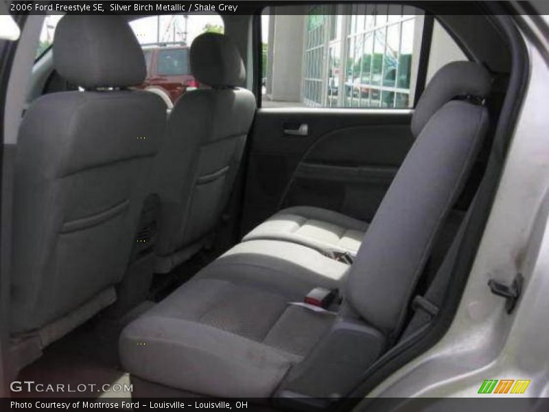 Silver Birch Metallic / Shale Grey 2006 Ford Freestyle SE