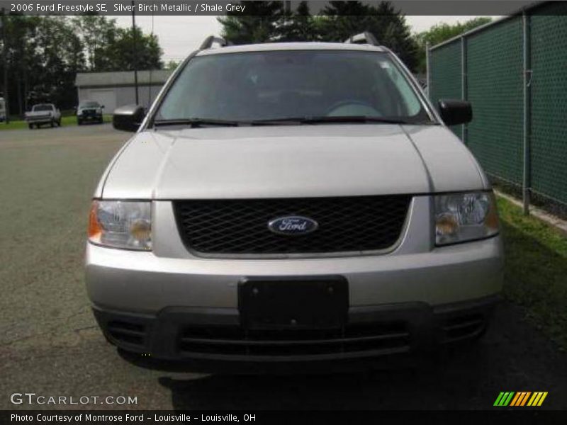 Silver Birch Metallic / Shale Grey 2006 Ford Freestyle SE