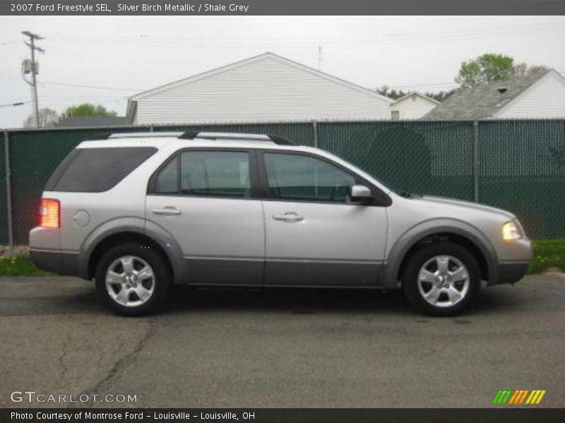 Silver Birch Metallic / Shale Grey 2007 Ford Freestyle SEL