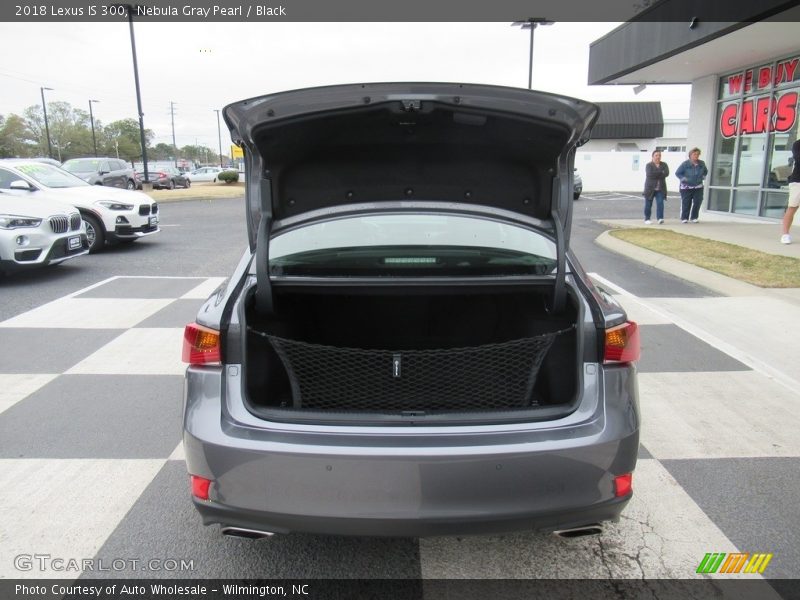 Nebula Gray Pearl / Black 2018 Lexus IS 300