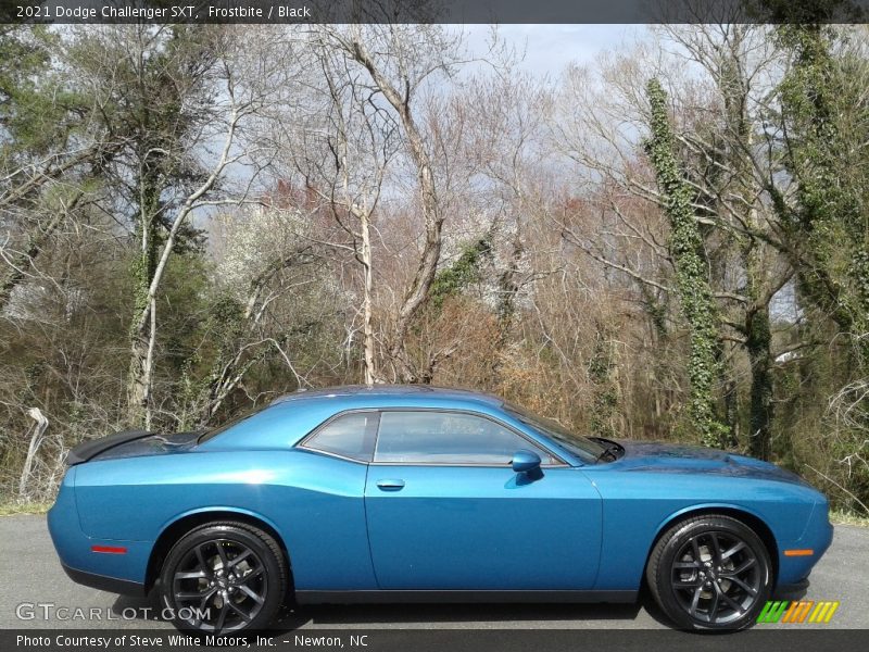 Frostbite / Black 2021 Dodge Challenger SXT