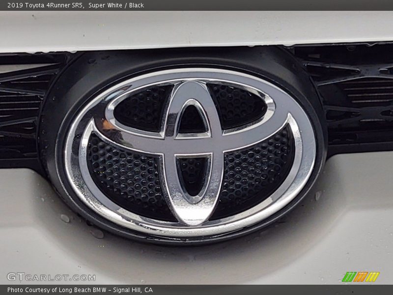 Super White / Black 2019 Toyota 4Runner SR5