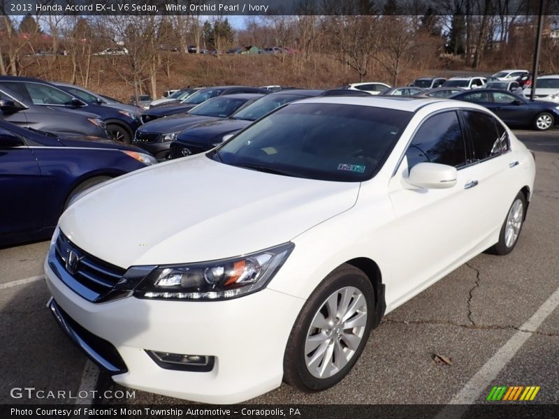 White Orchid Pearl / Ivory 2013 Honda Accord EX-L V6 Sedan