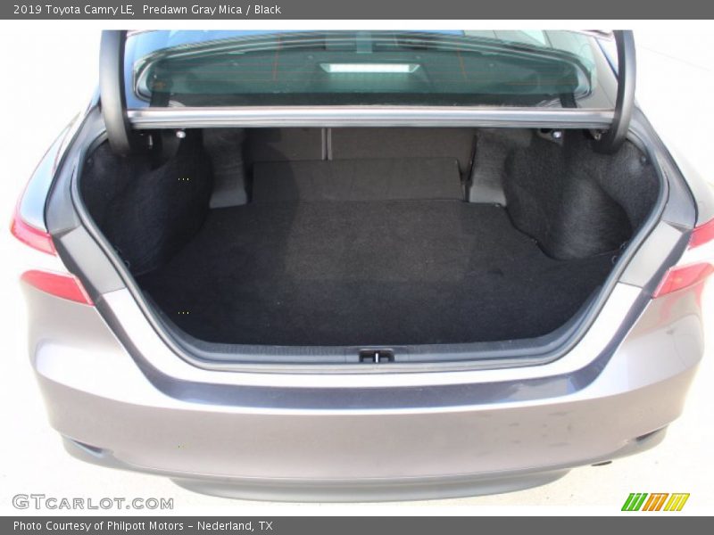 Predawn Gray Mica / Black 2019 Toyota Camry LE