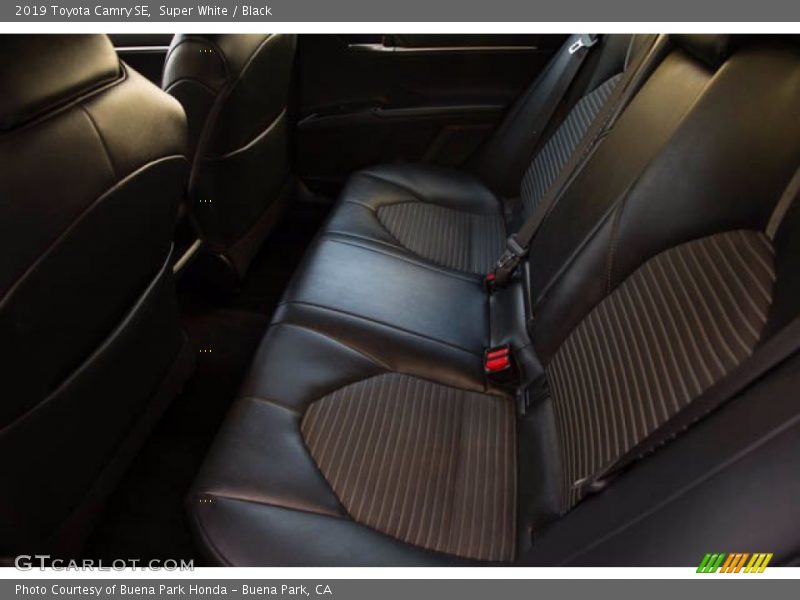 Super White / Black 2019 Toyota Camry SE