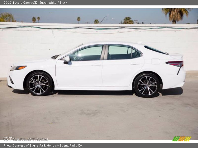 Super White / Black 2019 Toyota Camry SE