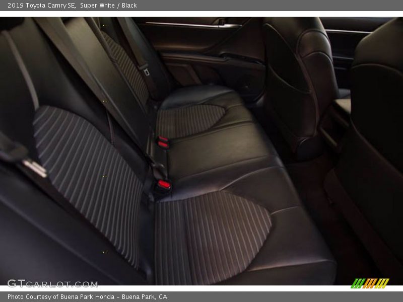 Super White / Black 2019 Toyota Camry SE