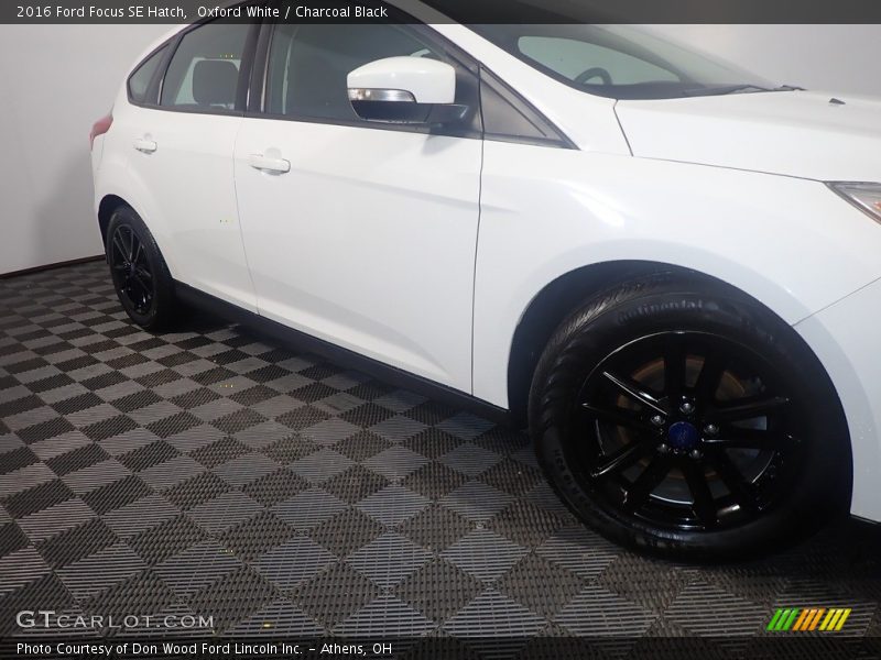 Oxford White / Charcoal Black 2016 Ford Focus SE Hatch