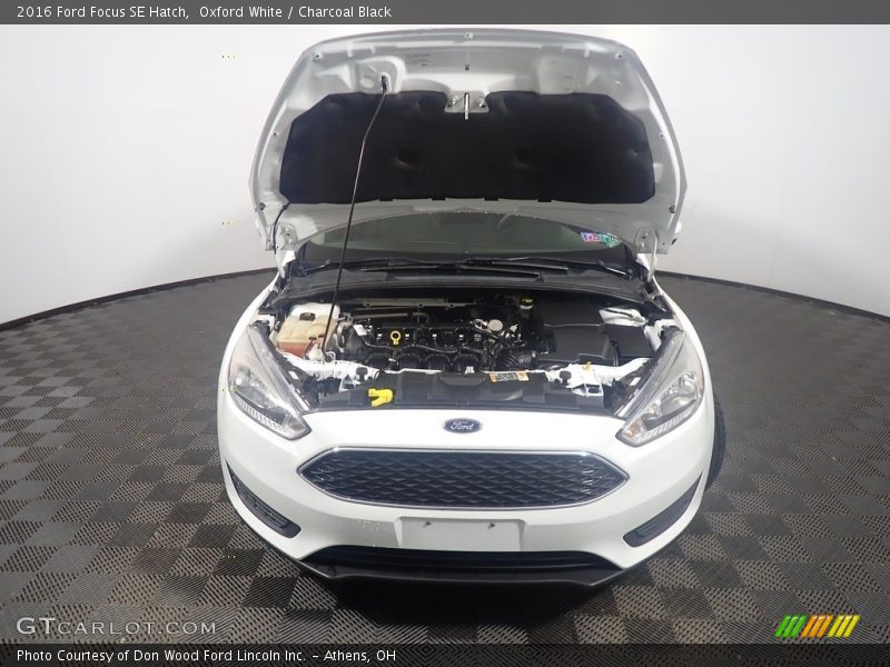 Oxford White / Charcoal Black 2016 Ford Focus SE Hatch