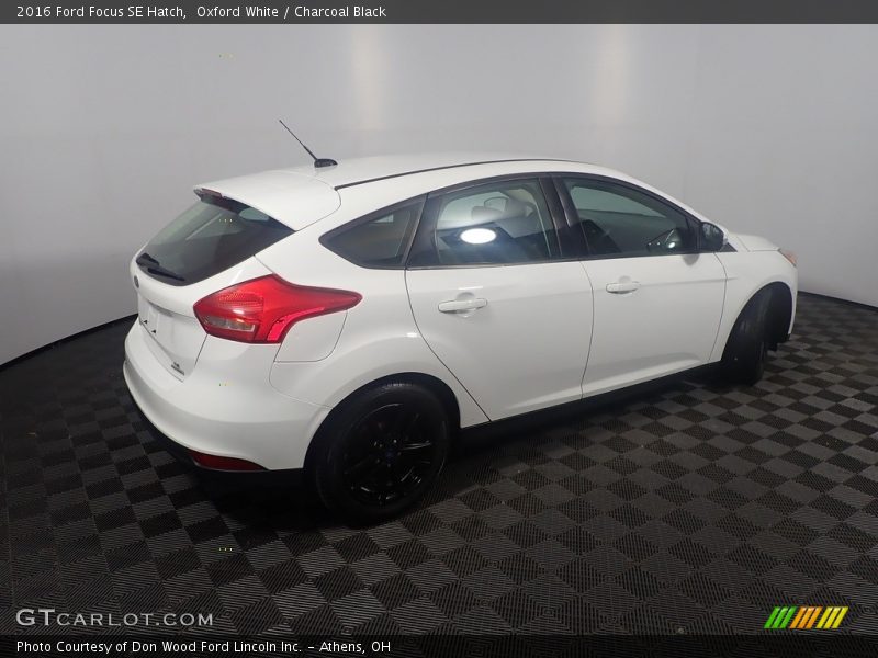Oxford White / Charcoal Black 2016 Ford Focus SE Hatch