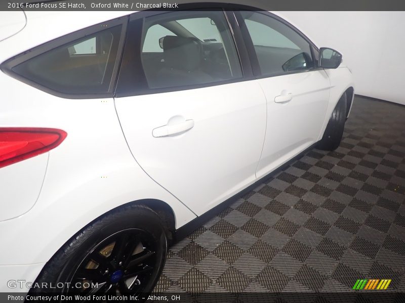 Oxford White / Charcoal Black 2016 Ford Focus SE Hatch