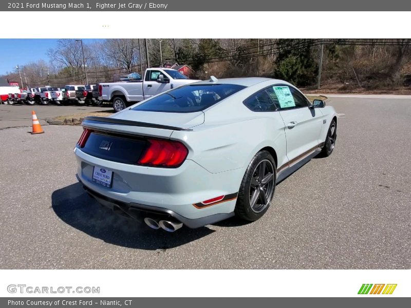 Fighter Jet Gray / Ebony 2021 Ford Mustang Mach 1