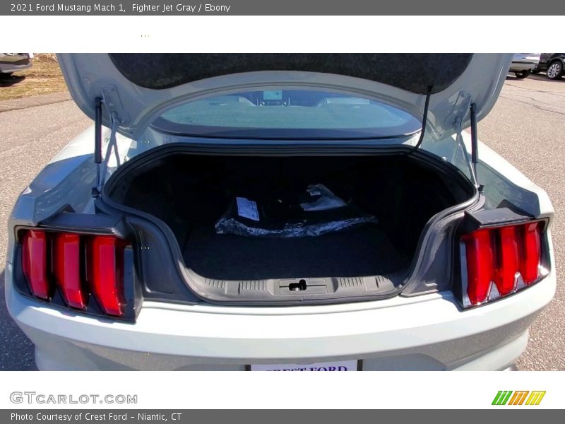 Fighter Jet Gray / Ebony 2021 Ford Mustang Mach 1