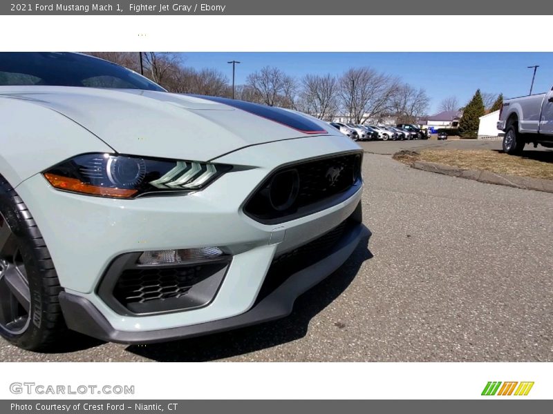 Fighter Jet Gray / Ebony 2021 Ford Mustang Mach 1