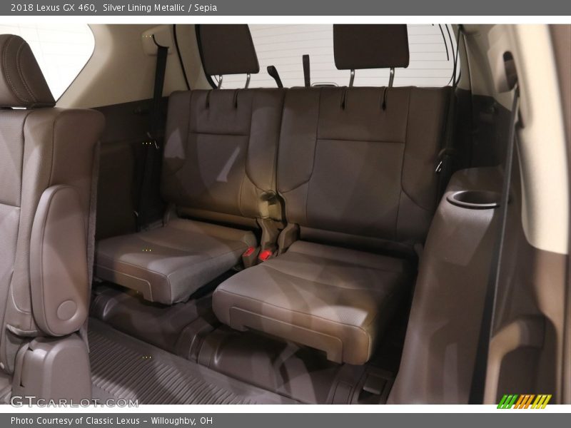 Silver Lining Metallic / Sepia 2018 Lexus GX 460