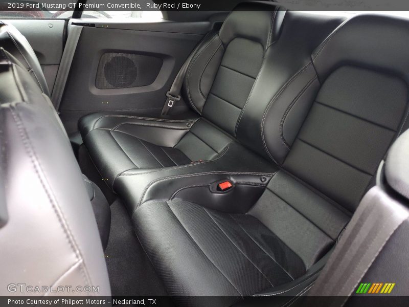 Rear Seat of 2019 Mustang GT Premium Convertible