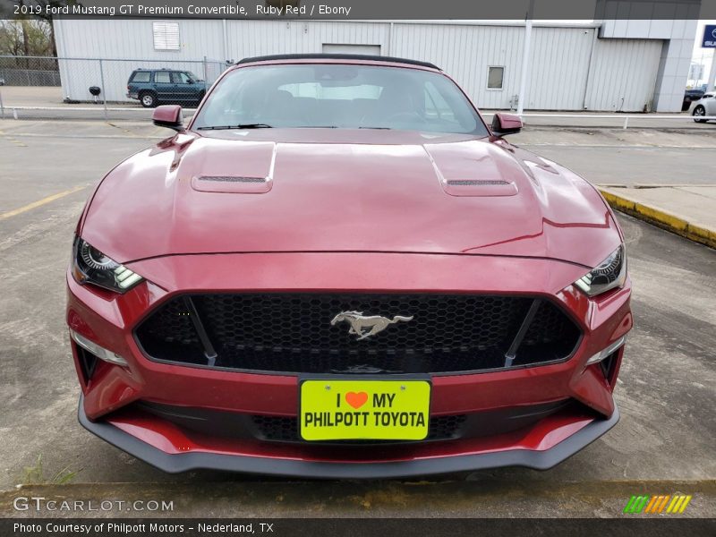 Ruby Red / Ebony 2019 Ford Mustang GT Premium Convertible