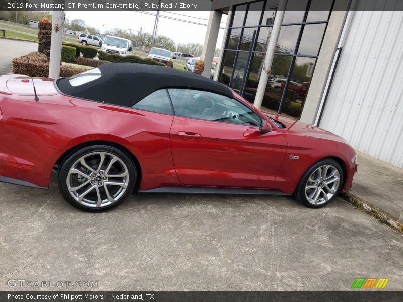 Ruby Red / Ebony 2019 Ford Mustang GT Premium Convertible