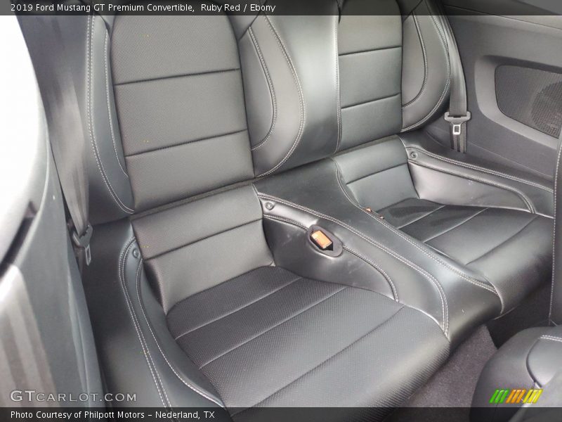 Ruby Red / Ebony 2019 Ford Mustang GT Premium Convertible