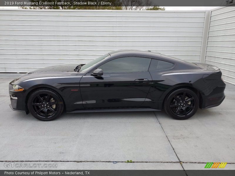 Shadow Black / Ebony 2019 Ford Mustang EcoBoost Fastback