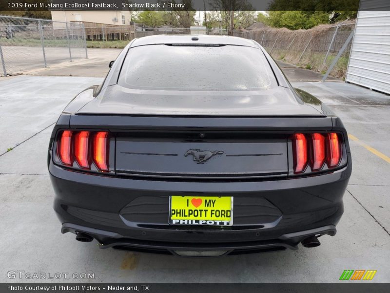 Shadow Black / Ebony 2019 Ford Mustang EcoBoost Fastback
