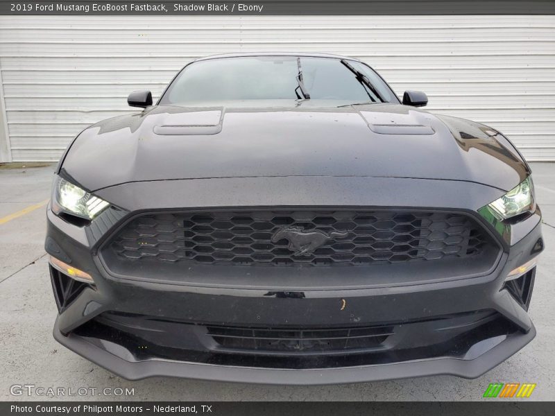 Shadow Black / Ebony 2019 Ford Mustang EcoBoost Fastback