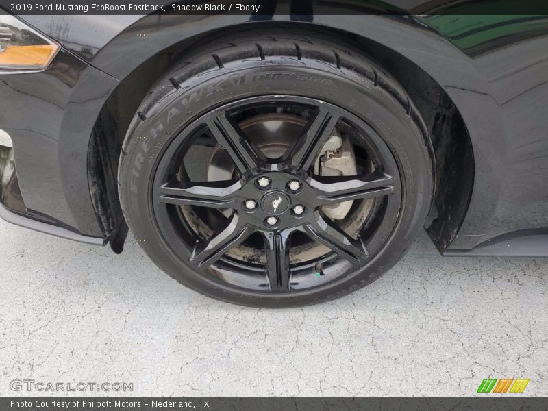 Shadow Black / Ebony 2019 Ford Mustang EcoBoost Fastback