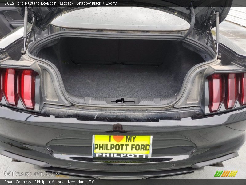 Shadow Black / Ebony 2019 Ford Mustang EcoBoost Fastback