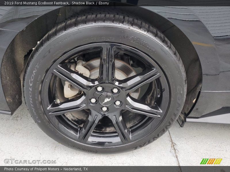 Shadow Black / Ebony 2019 Ford Mustang EcoBoost Fastback