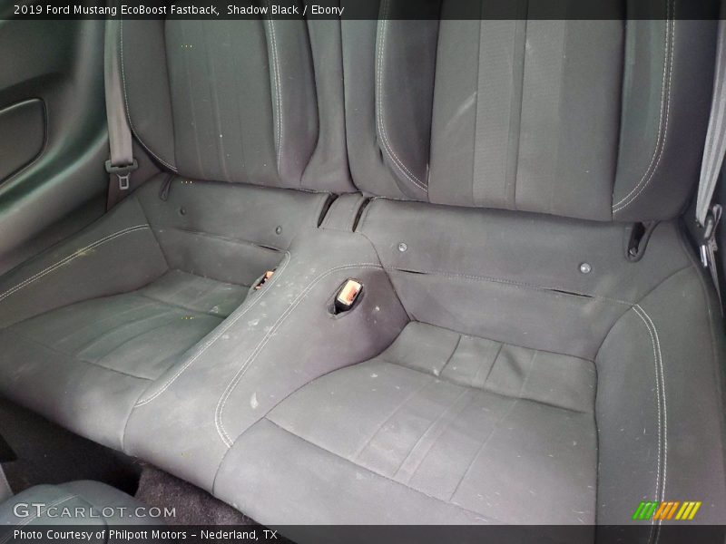 Shadow Black / Ebony 2019 Ford Mustang EcoBoost Fastback