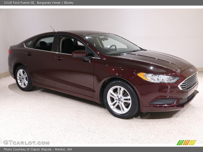 Burgundy Velvet / Ebony 2018 Ford Fusion SE