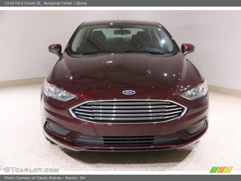 Burgundy Velvet / Ebony 2018 Ford Fusion SE