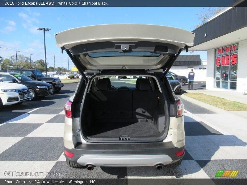 White Gold / Charcoal Black 2018 Ford Escape SEL 4WD