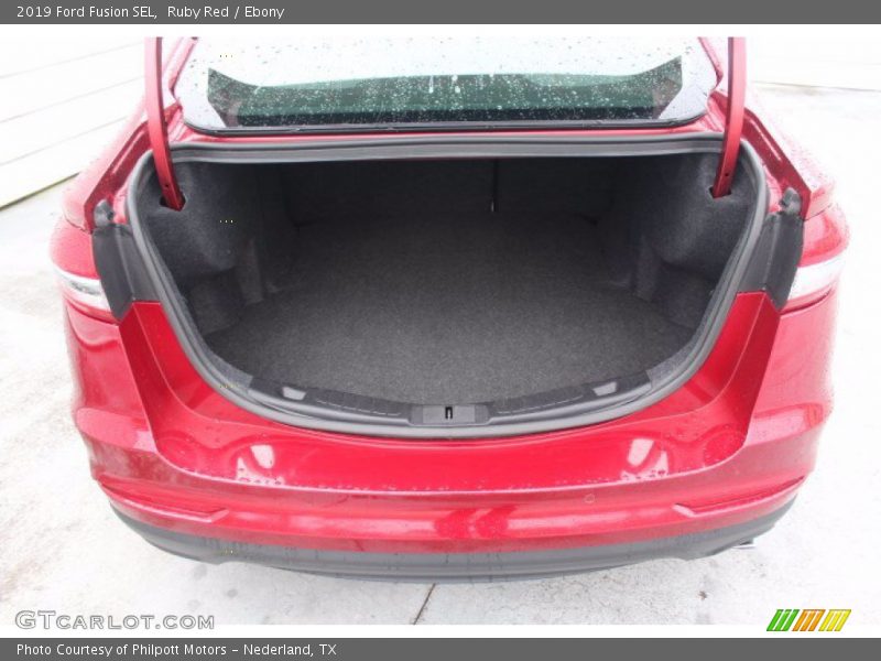 Ruby Red / Ebony 2019 Ford Fusion SEL
