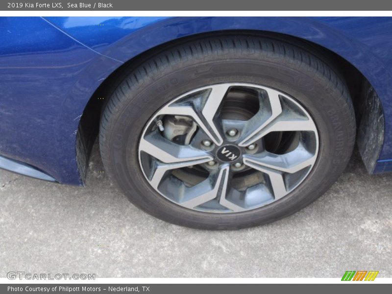 Sea Blue / Black 2019 Kia Forte LXS