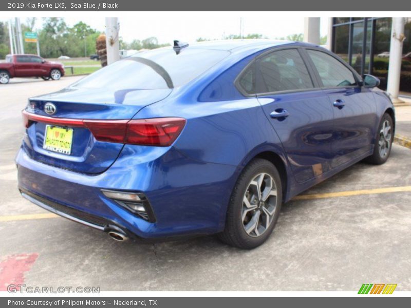 Sea Blue / Black 2019 Kia Forte LXS
