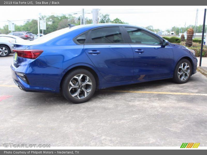 Sea Blue / Black 2019 Kia Forte LXS