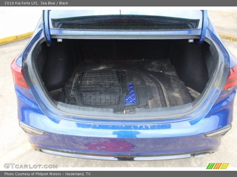 Sea Blue / Black 2019 Kia Forte LXS