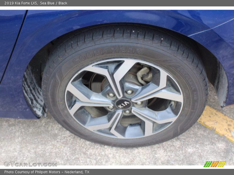 Sea Blue / Black 2019 Kia Forte LXS
