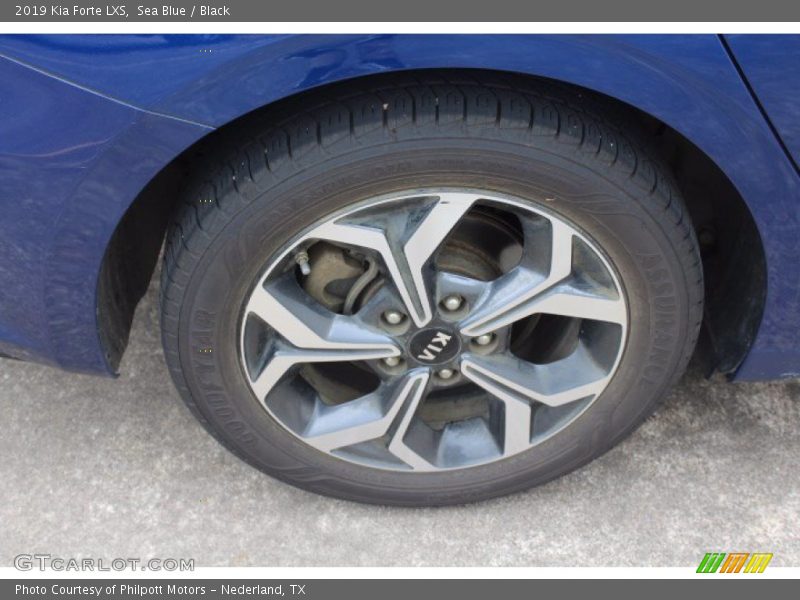 Sea Blue / Black 2019 Kia Forte LXS
